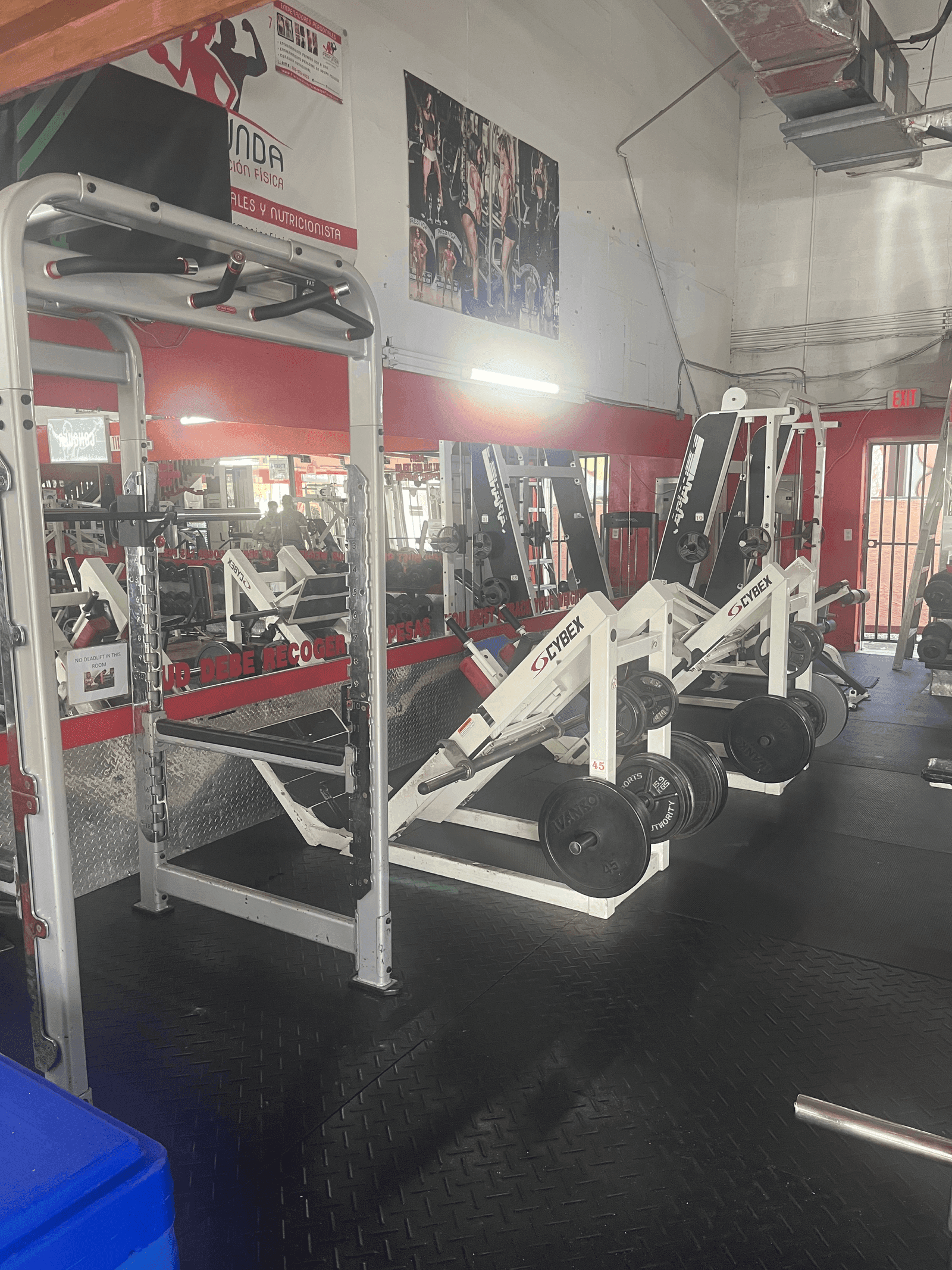 Los Mejores Gimnasios en Miami: Guía 2026 Para No Equivocarte